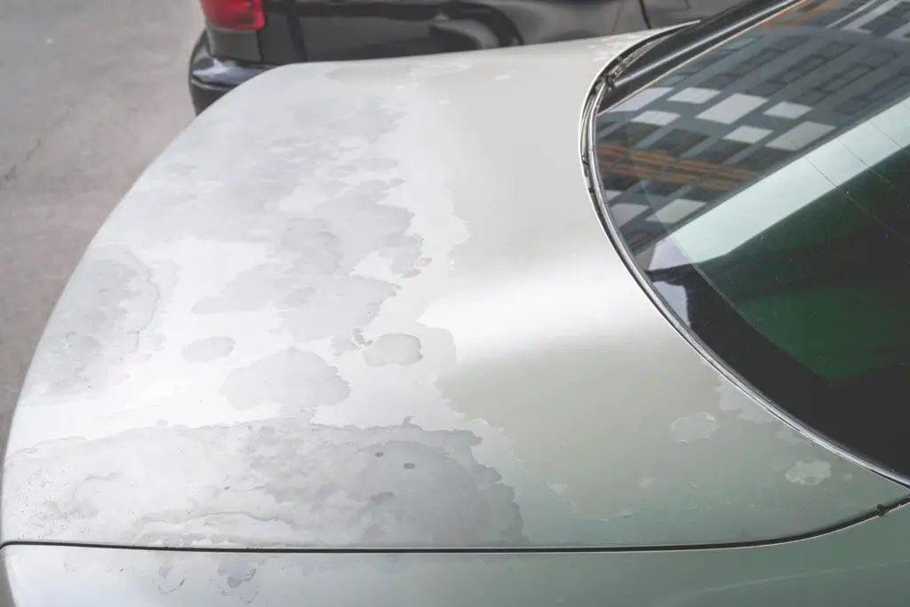 How to Restore Car Paint