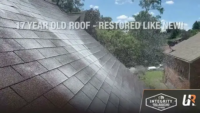 Shingle Roof Restoration